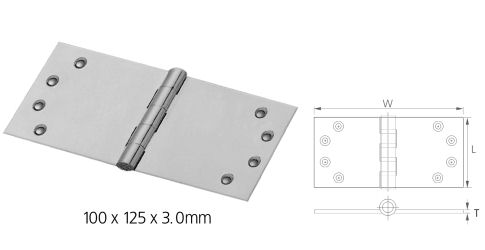 Stainless Steel Parliament Hinges